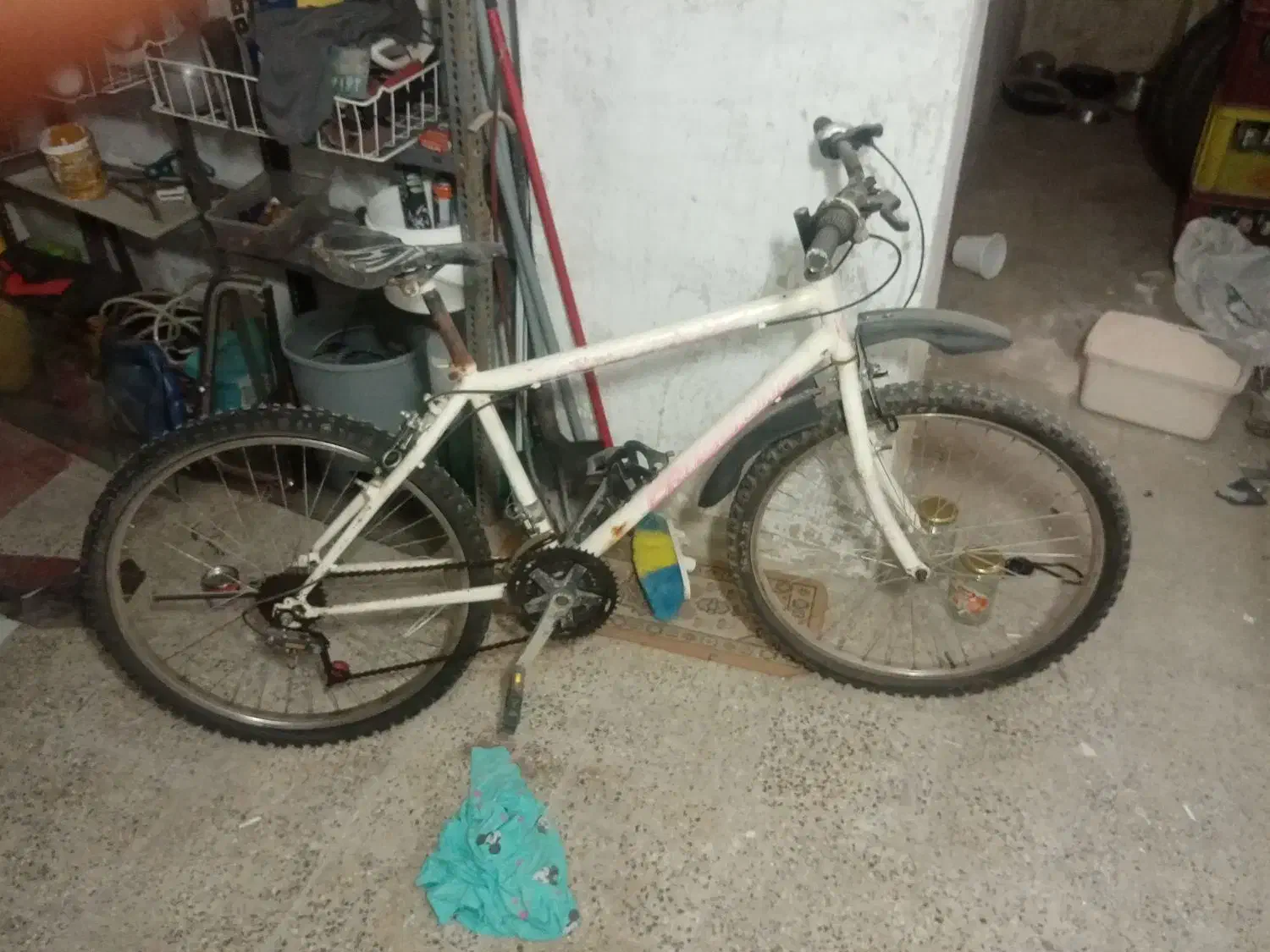 دوچرخه|دوچرخه، اسکیت، اسکوتر|شاهین دژ, |دیوار