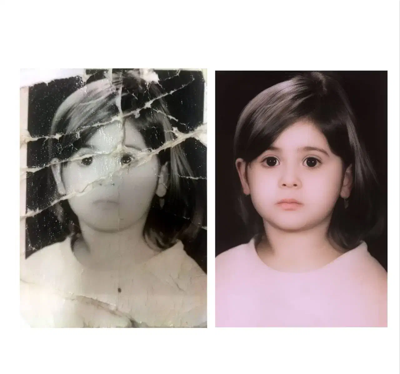 انواع عکسهایقدیمی|کلکسیون اشیاء عتیقه|پرند, فاز ۶|دیوار