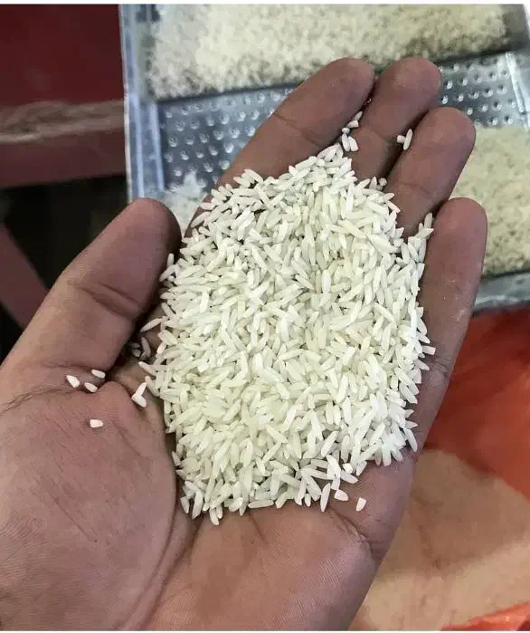 برنج دم سیاه درجه یک|خوردنی و آشامیدنی|رشت, استادسرا|دیوار