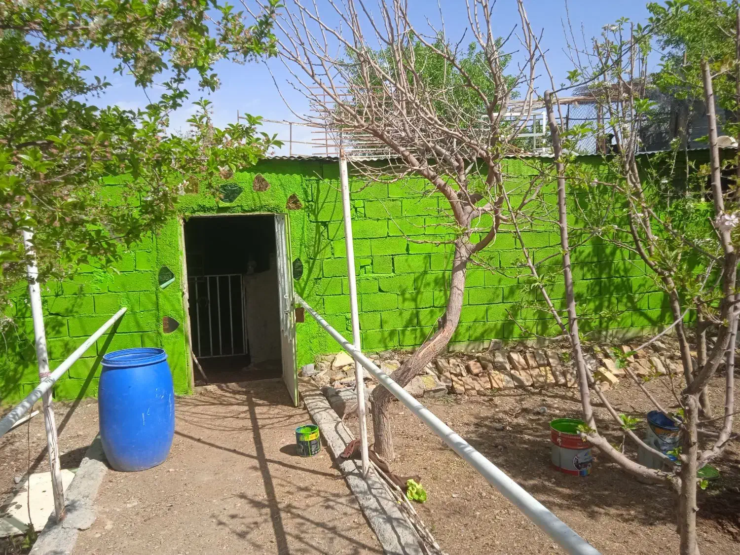 نقاشی ساختمان|خدمات پیشه و مهارت|گلپایگان, |دیوار