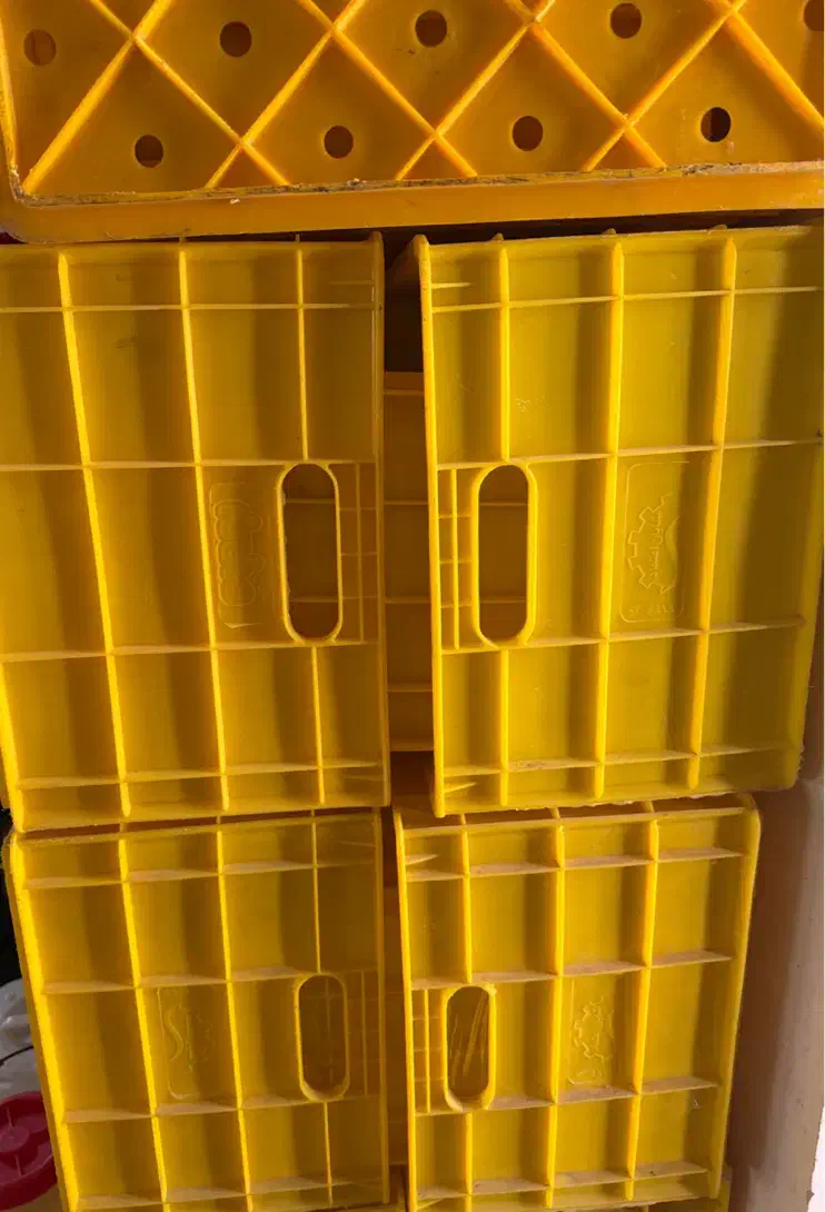 جعبه سبد لبنیاتی|ظروف نگهدارنده، پلاستیکی، یک‌بارمصرف|اردبیل, |دیوار