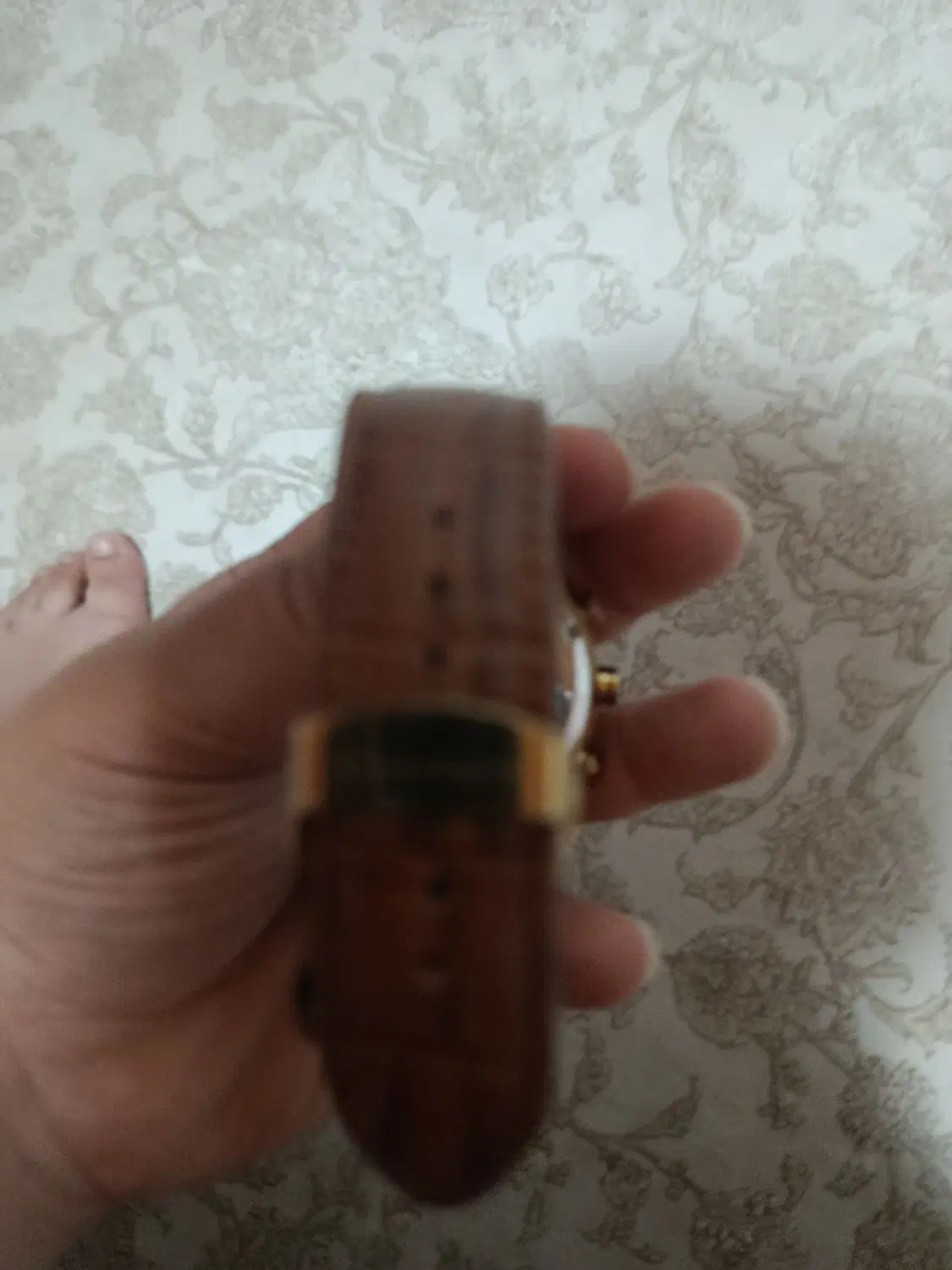 ساعت مچی|ساعت|آمل, |دیوار