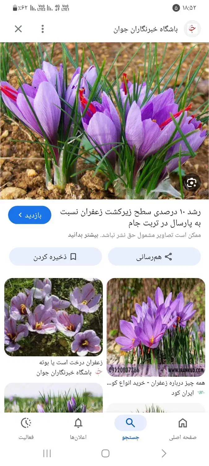 راهنمایی زعفران|فعالیت داوطلبانه|مشهد, قائم|دیوار