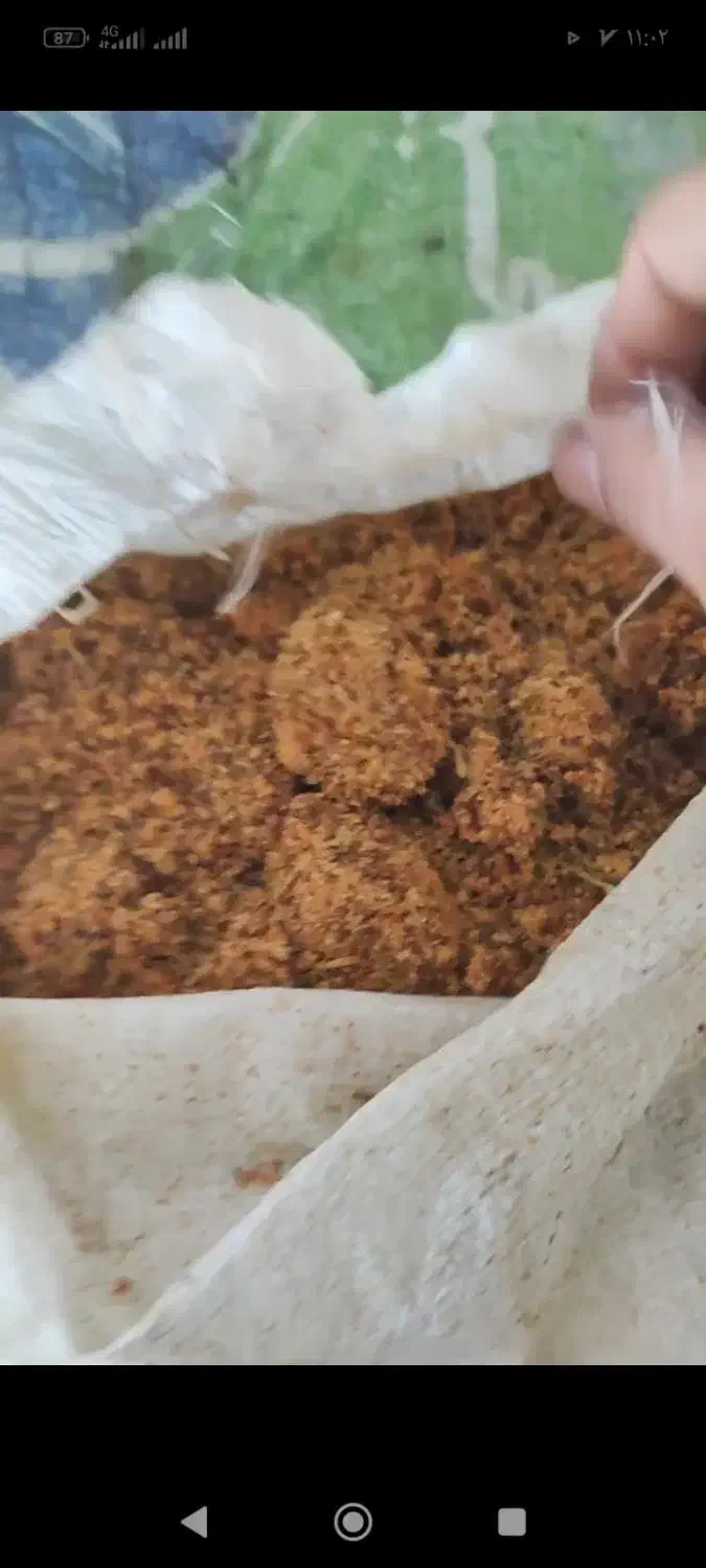 کشمش ابگیری|خوردنی و آشامیدنی|تبریز, |دیوار