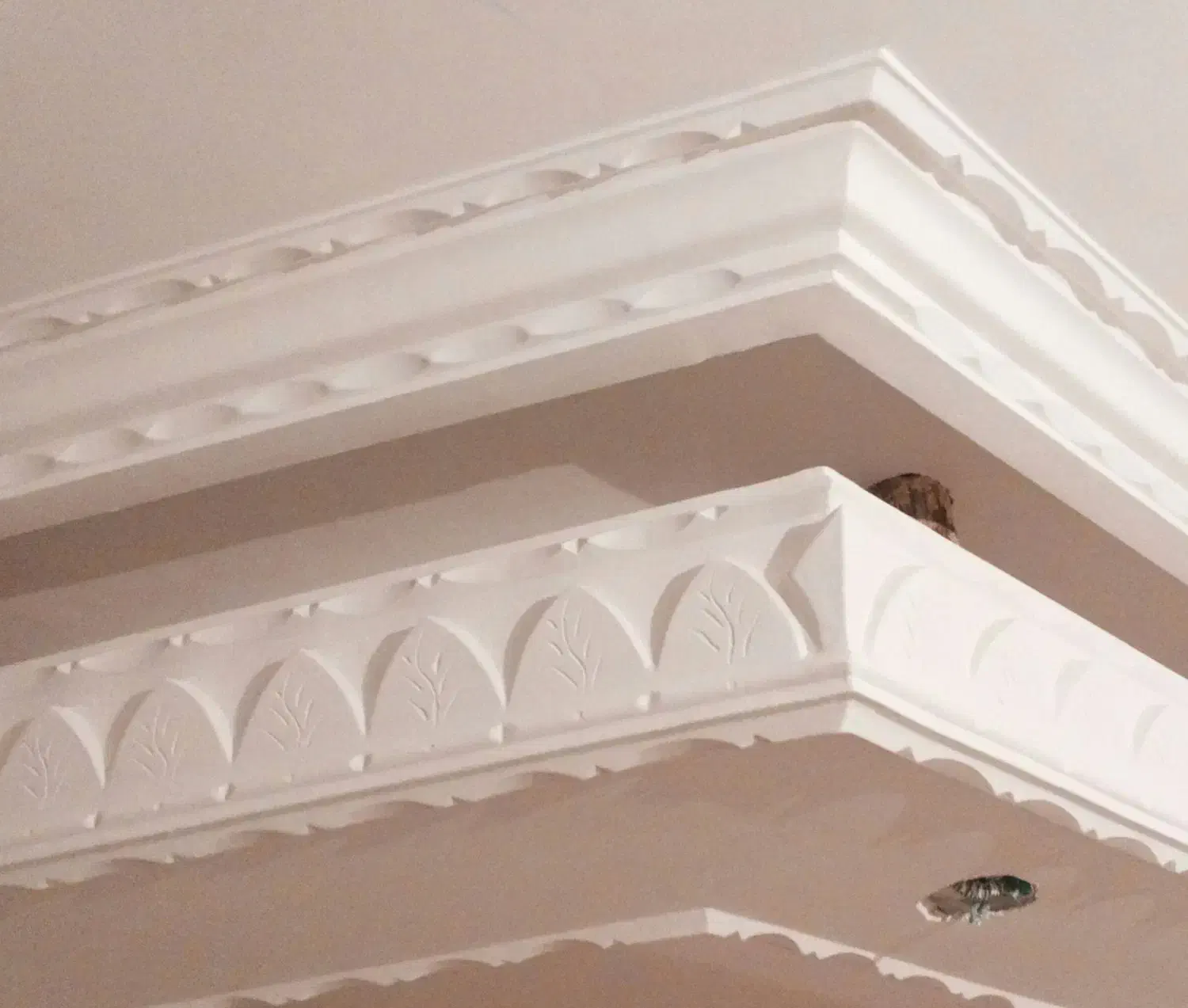 گچ کاری|خدمات پیشه و مهارت|شیراز, معالی‌آباد|دیوار