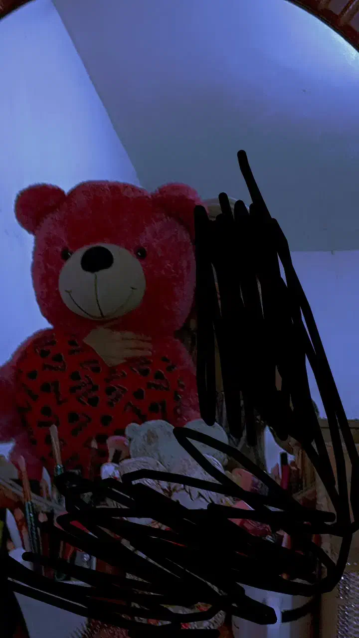 خرس بزرگ|کلکسیون و سرگرمی|شوشتر, |دیوار