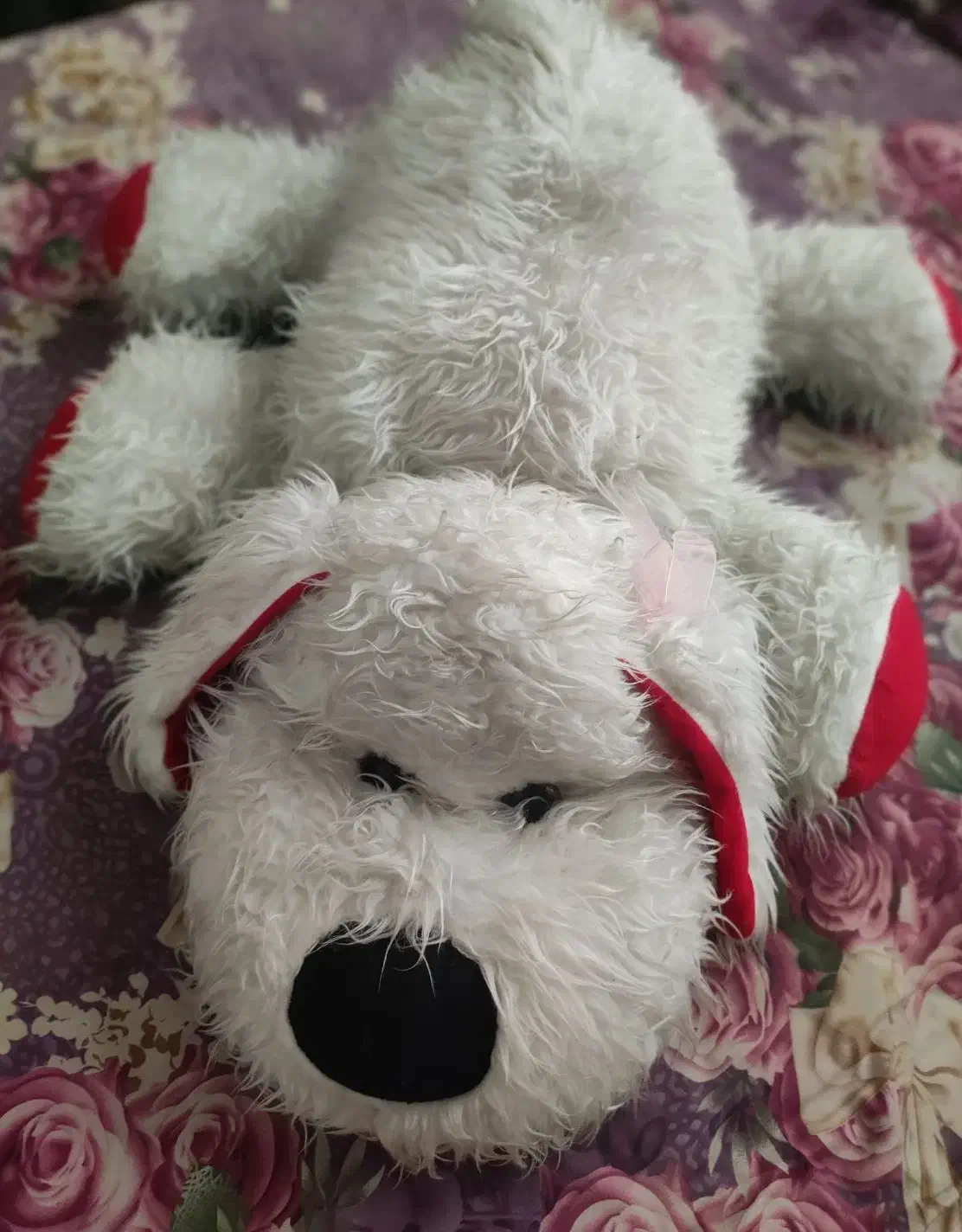 سگ پوشالی|اسباب و اثاث بچه|مشهد, فتح المبین|دیوار