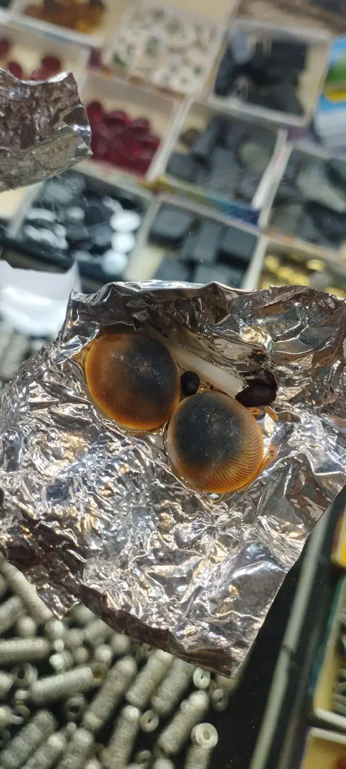 سلیمانی|کلکسیون اشیاء عتیقه|شهر ری, شهید غیوری (ابن باویه)|دیوار