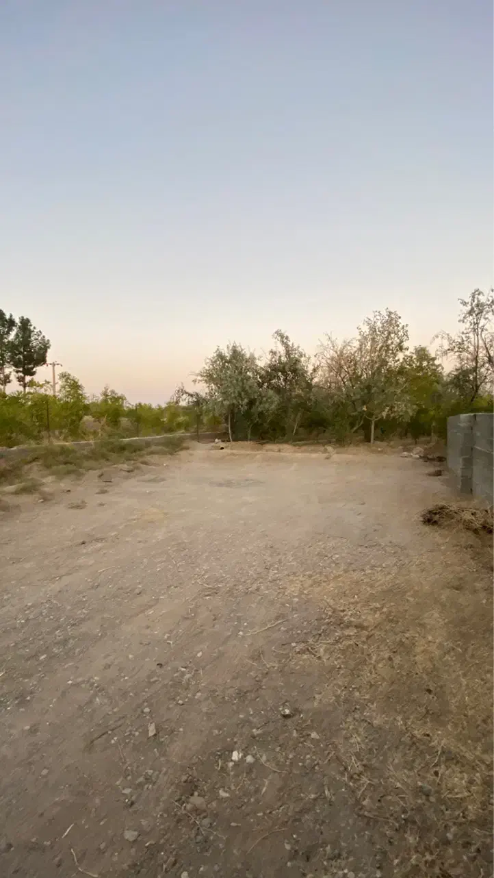 باغ معصوم آباد|فروش زمین و ملک کلنگی|بیرجند, |دیوار