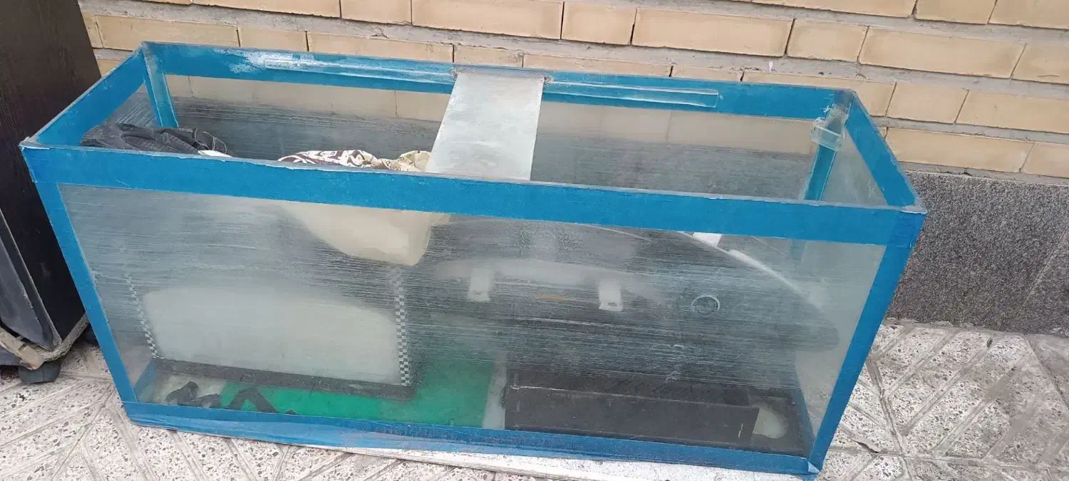 آکواریوم|ماهی|تبریز, |دیوار