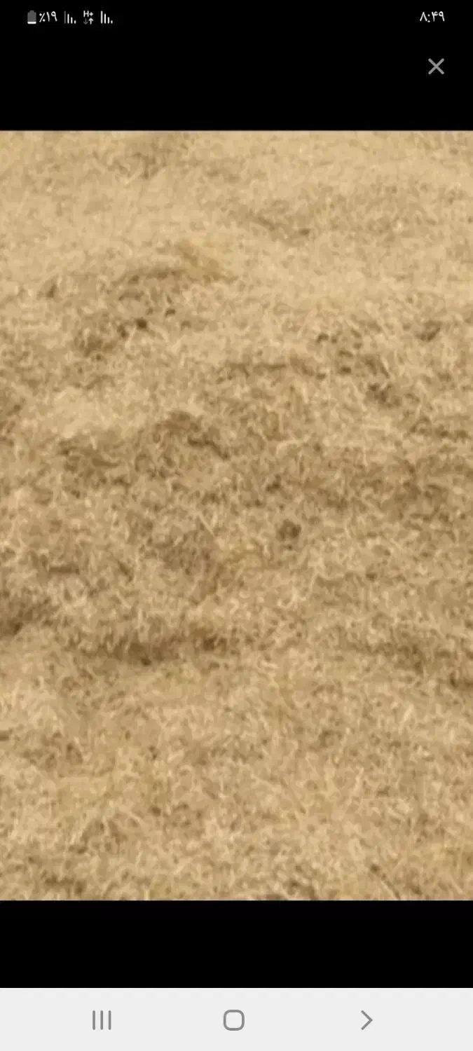 ۲۰تن کاه گندم دیم نرم ریز|عمده‌فروشی|گل تپه, |دیوار