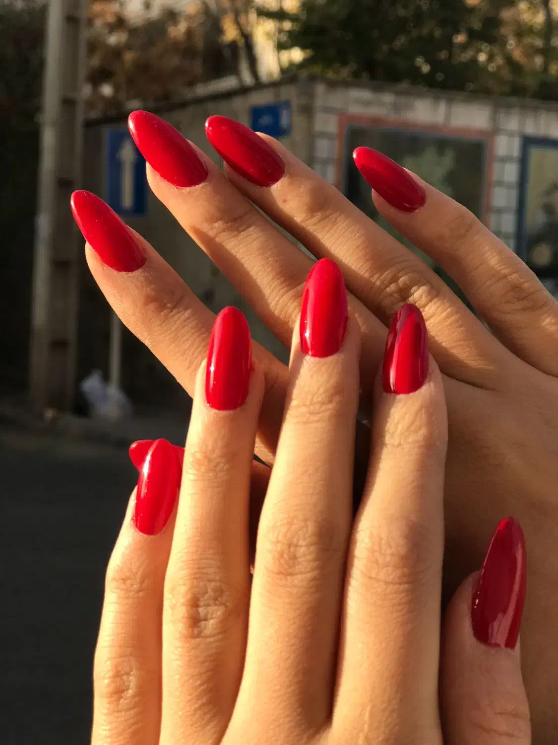 کاشت ناخن با تخفیف های باور نکردنی فقط تا یلدا|خدمات آرایشگری و زیبایی|زنجان, |دیوار