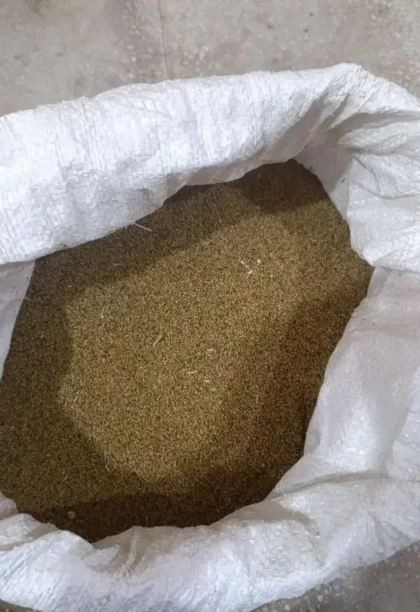 بذر یونجه|خدمات باغبانی و درختکاری|دلگان, |دیوار