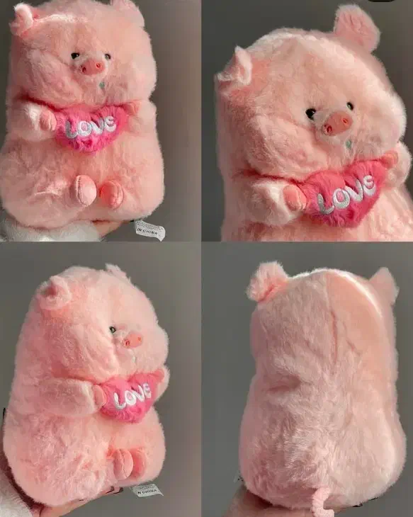 خوک لپی|اسباببازی|نیشابور, فردوسی جنوبی|دیوار