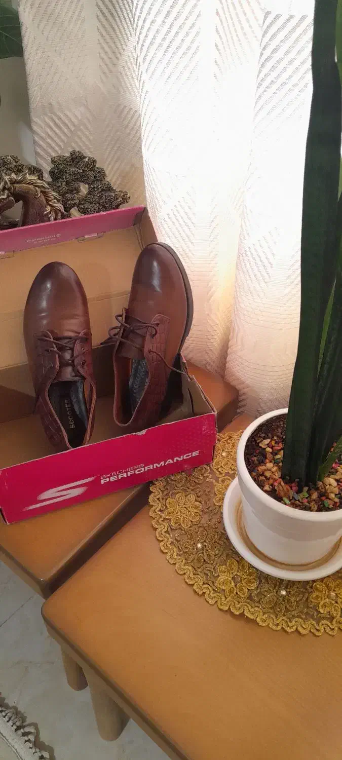 کفش  راحتی چرم اسکوتر|کیف، کفش، کمربند|پرند, فاز ۶|دیوار