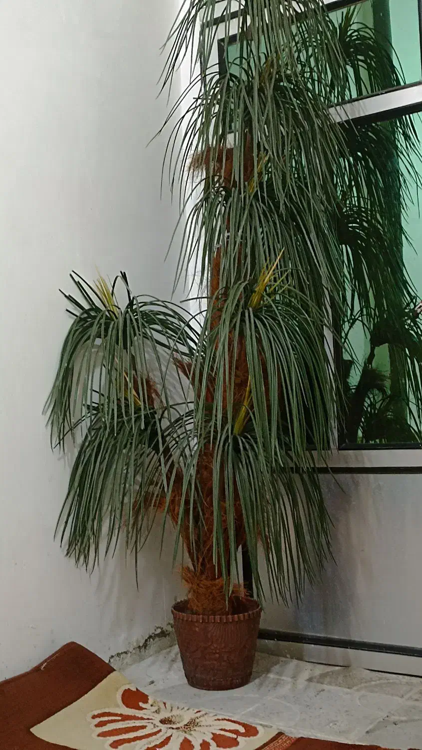 درخت نخل|گل مصنوعی|مریوان, |دیوار