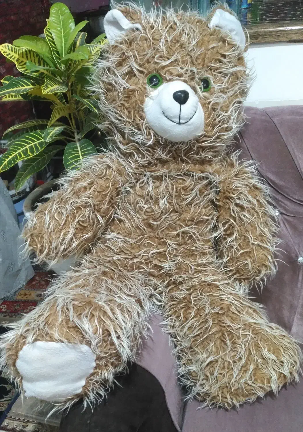 خرس کرم قهوه ای|اسباب‌بازی بچه|یزد, |دیوار