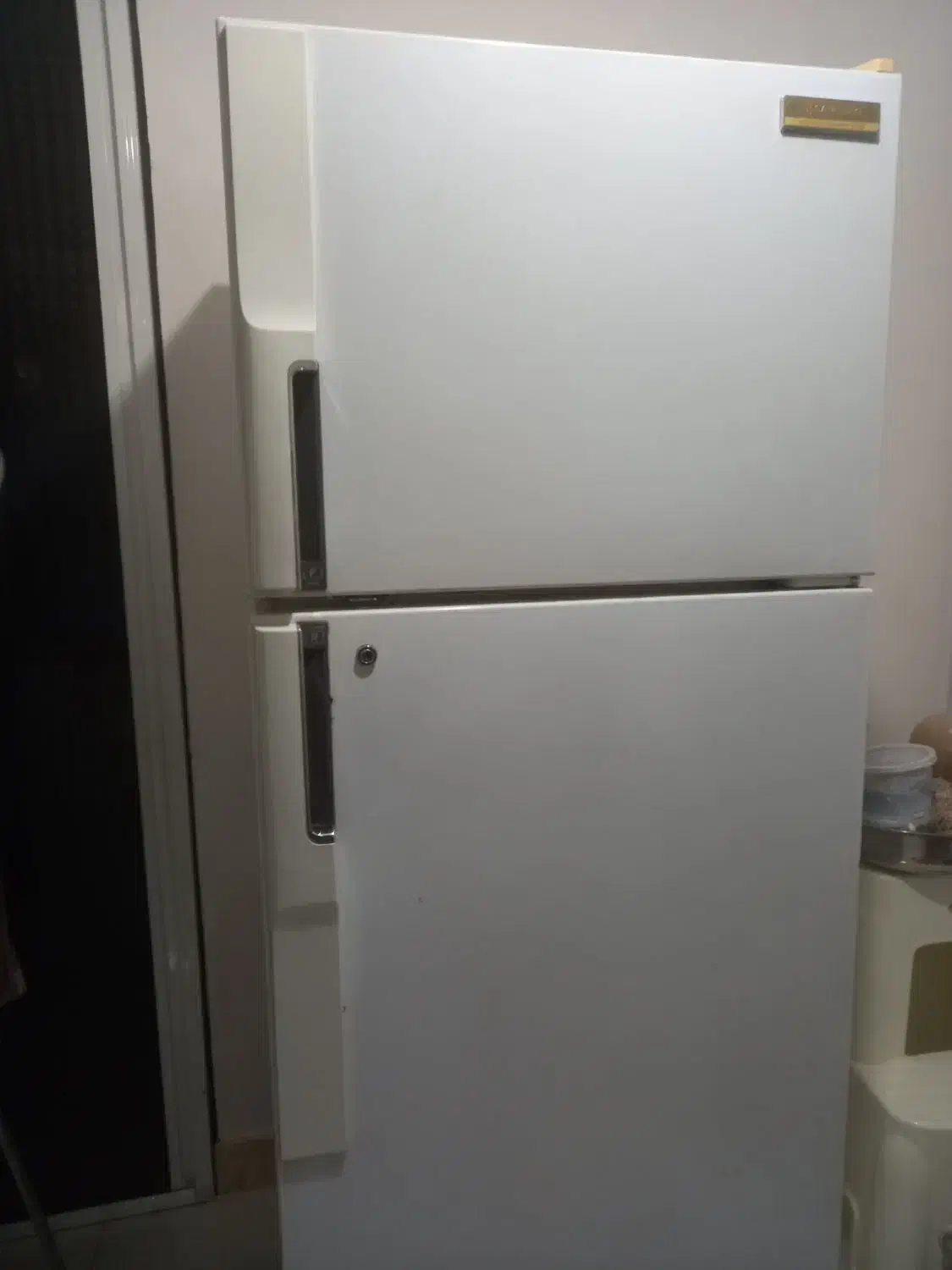 یخچال فریزر سامسونگ ۱۲فوت اصل کره|یخچال و فریزر|رشت, کوی طالقانی|دیوار