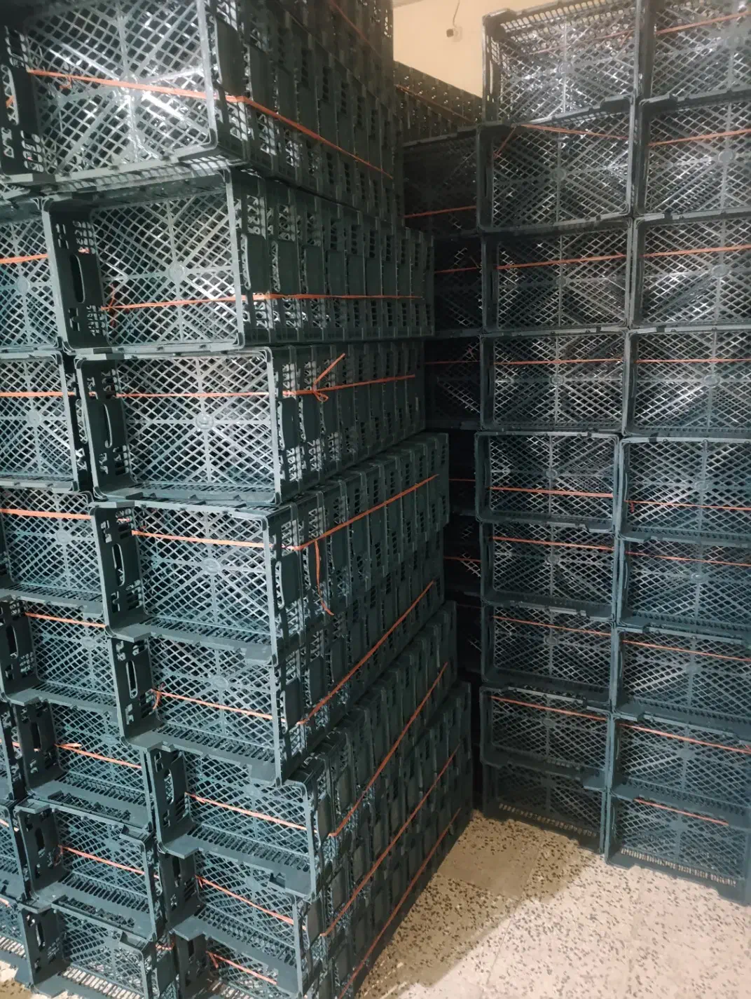 کارگر سبد سازی|استخدام صنعتی، فنی، مهندسی|مشگین شهر, |دیوار