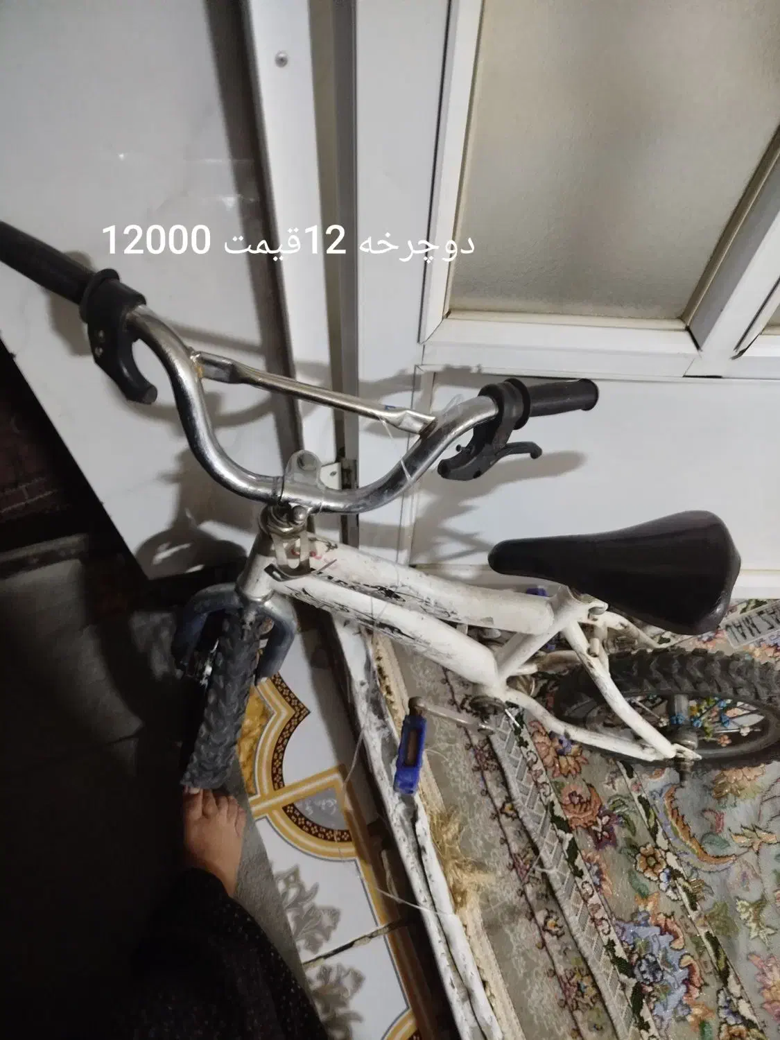 دوچرخه|دوچرخه، اسکیت، اسکوتر|جوانرود, |دیوار