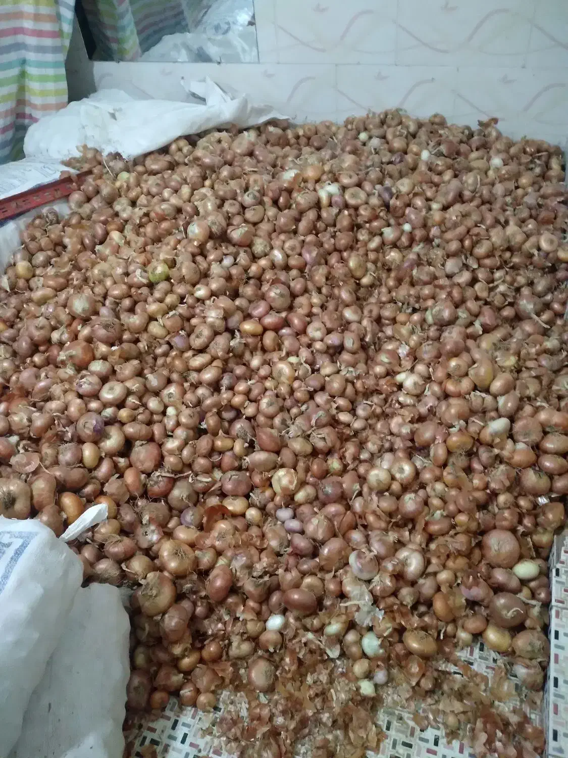 پیاز قرمز زرنق باماندگارره بالا نزدیک ۳تن|عمدهفروشی|هریس, |دیوار