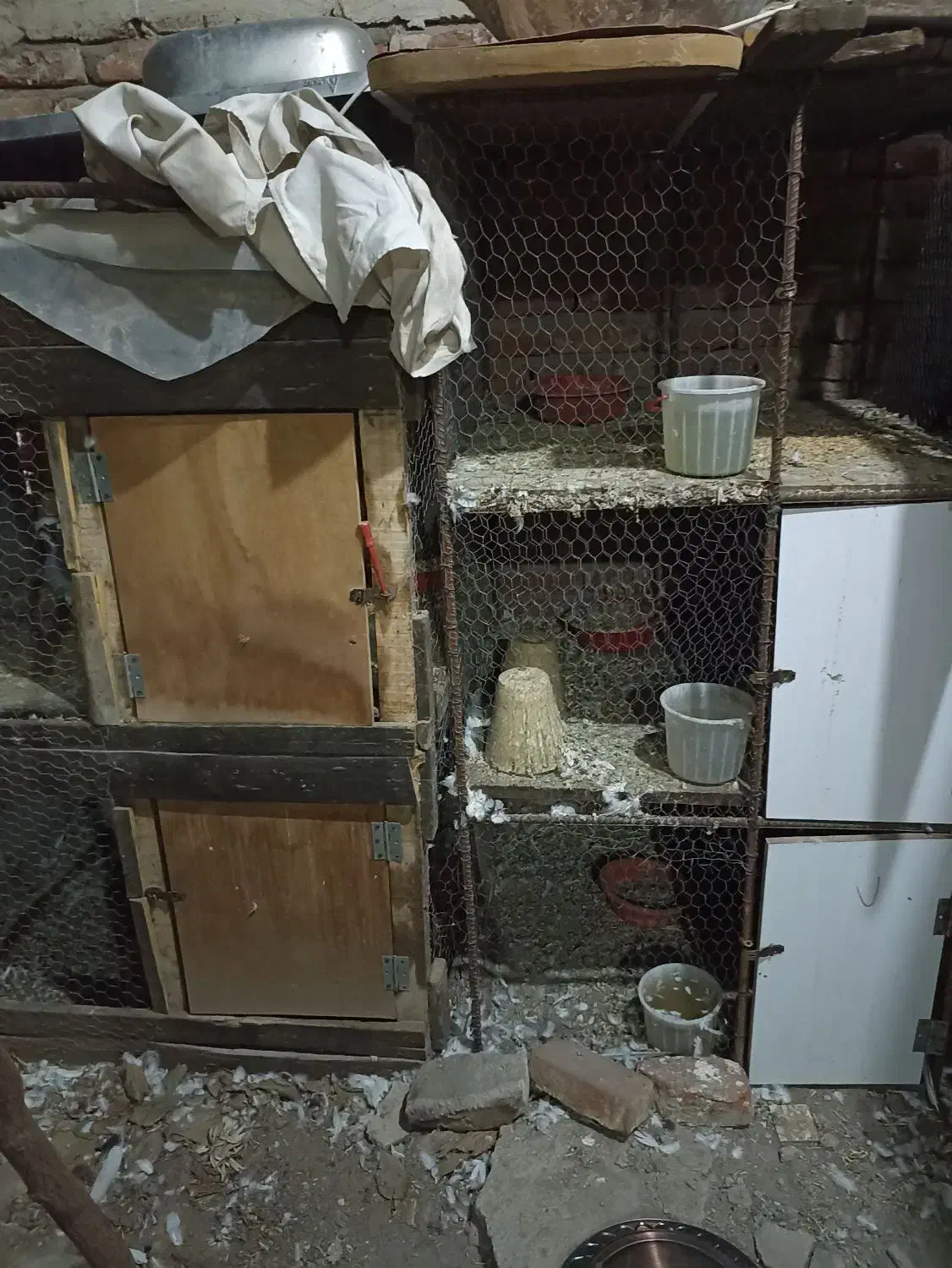 قفس کبوتر|لوازم جانبی حیوانات|بناب, |دیوار