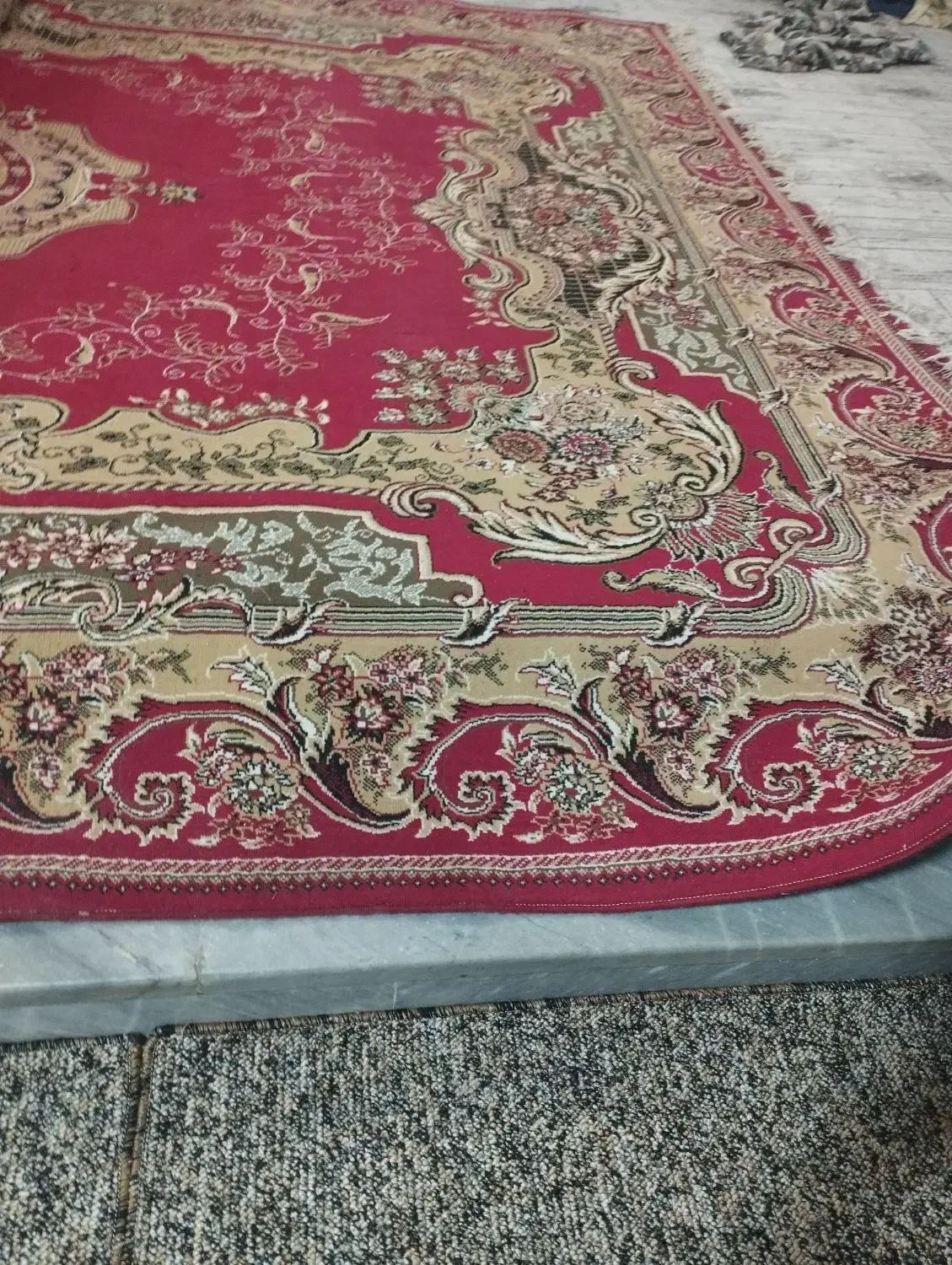 فرش دوازده متری|فرش|خورموج, |دیوار