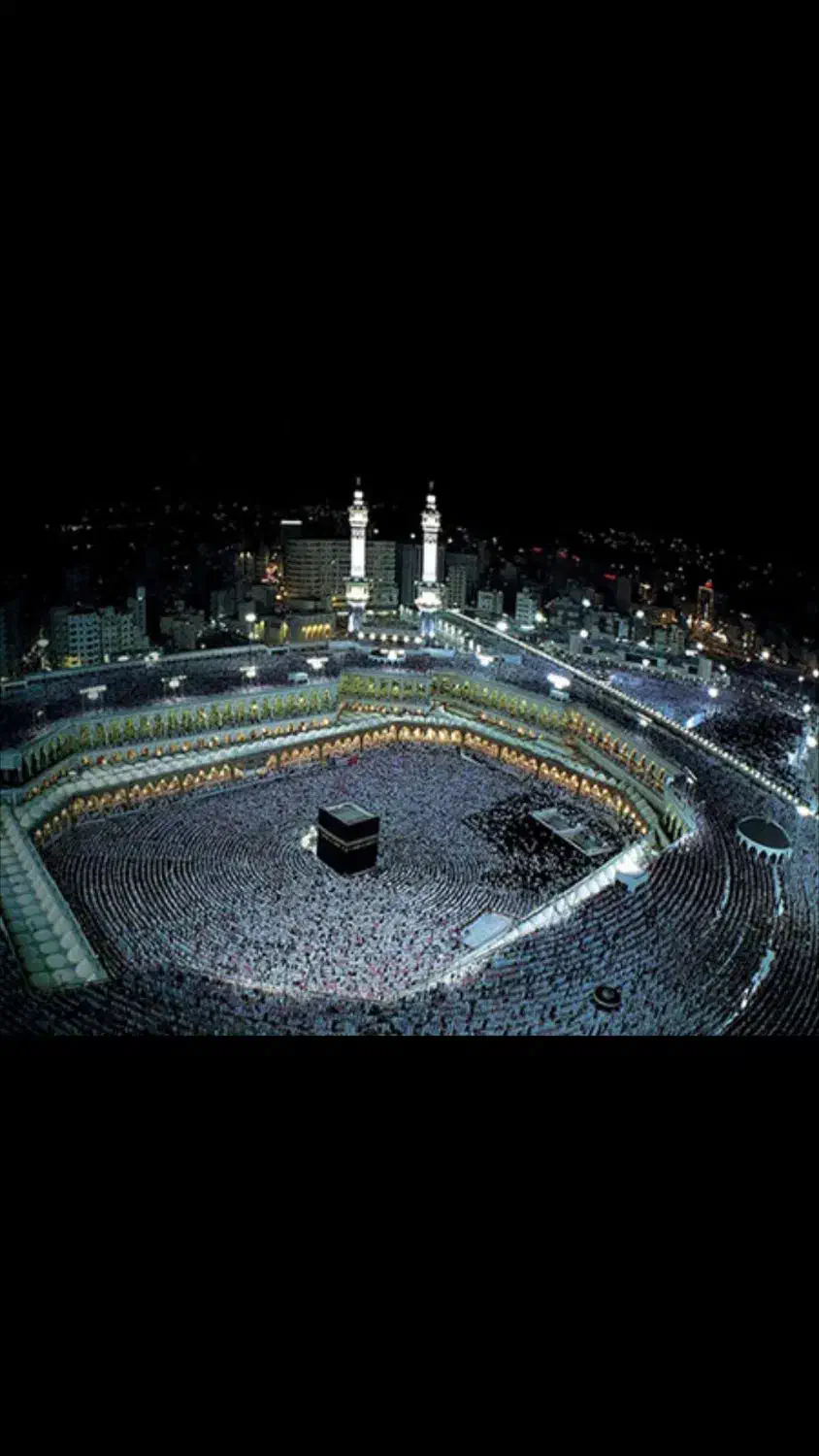 فیش تمتع|تور و چارتر|بیرجند, |دیوار
