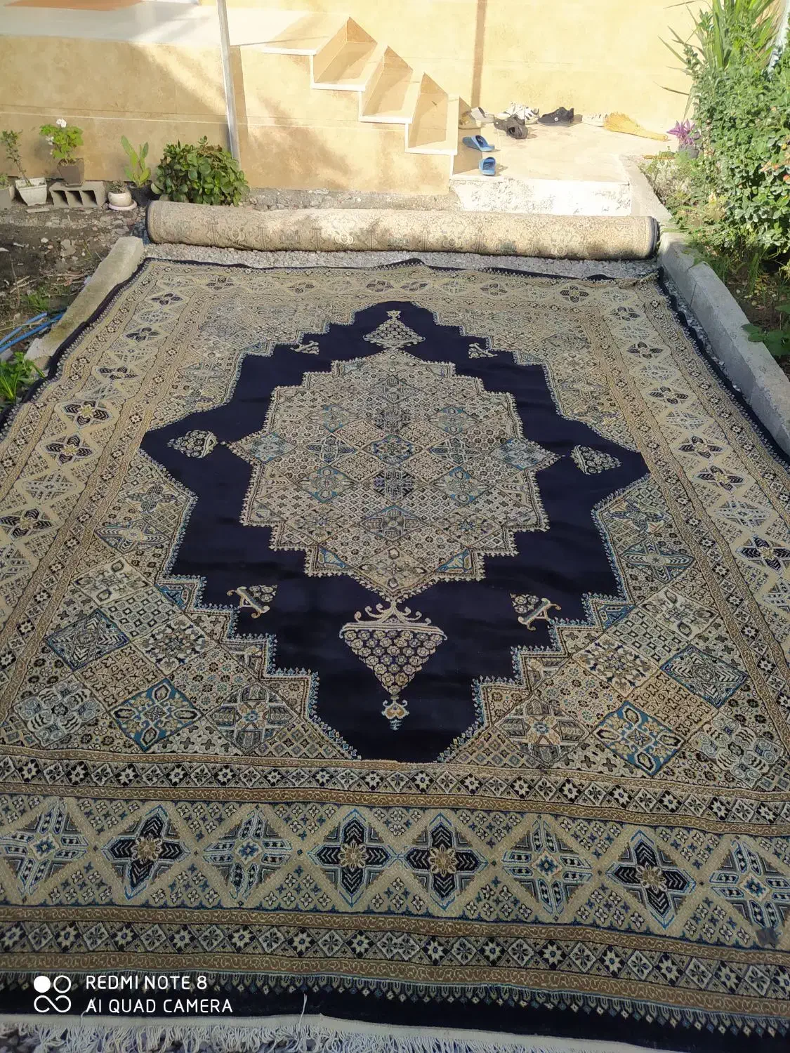 یک عدد فرش ۱۲متری|فرش|بابل, |دیوار