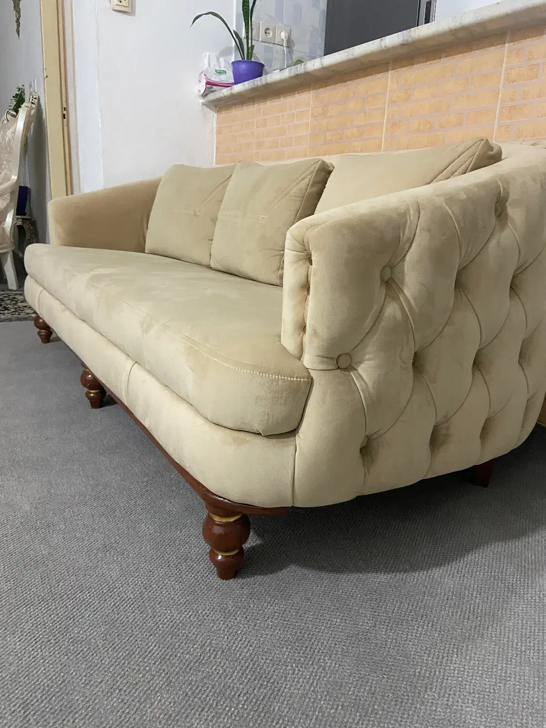 مبل چستر|مبلمان خانگی و میز عسلی|زنجان, |دیوار