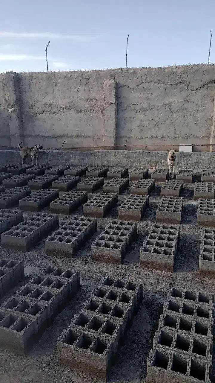 موزاییک وبلوک|مصالح و تجهیزات ساختمان|بجنورد, |دیوار