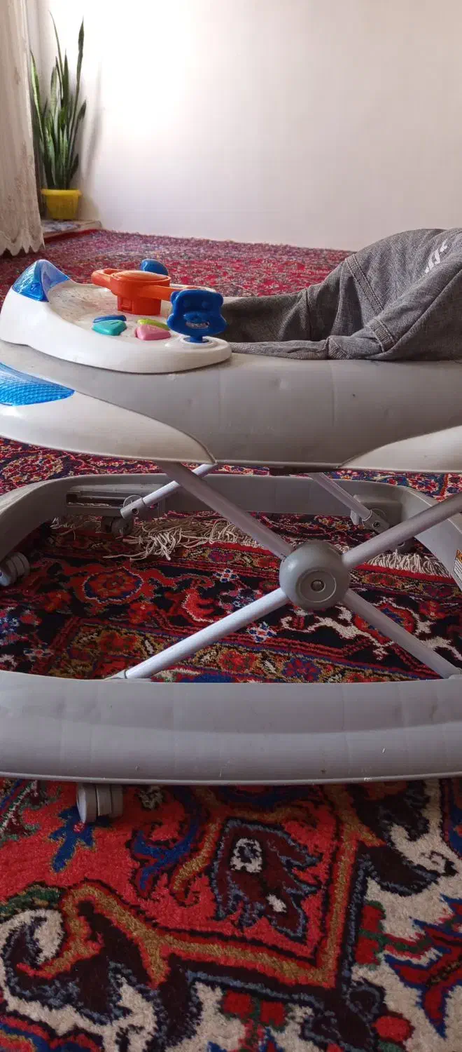 روروئک|کالسکه و لوازم جانبی|تبریز, |دیوار