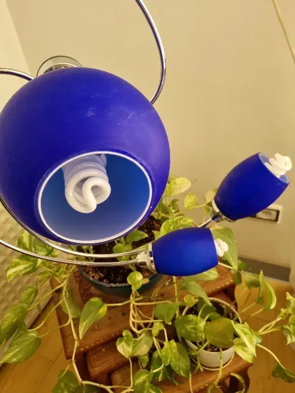 لوستر اتاق خواب و اشپزخونه|لوستر و چراغ آویز|اصفهان, شیخ اشراق|دیوار