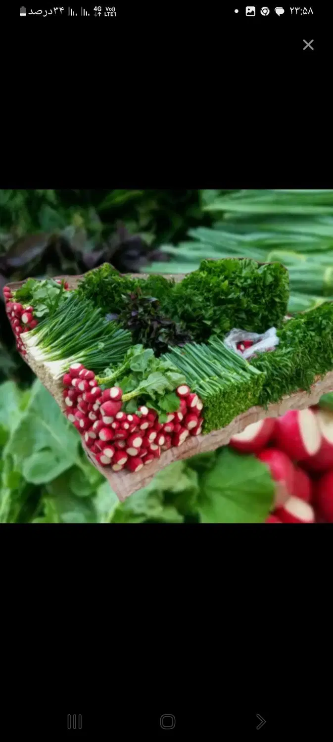 سبزی|خوردنی و آشامیدنی|شهر ری, هاشم‌آباد|دیوار