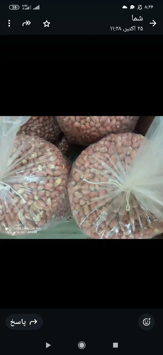 بادام زمینی|خوردنی و آشامیدنی|قرچک, مهدیه|دیوار