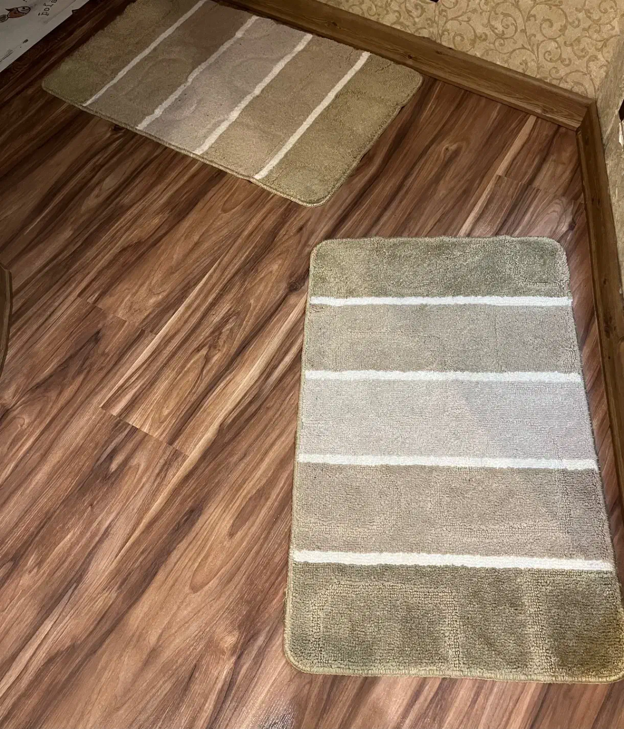 دو عدد پادری|پادری|تبریز, |دیوار