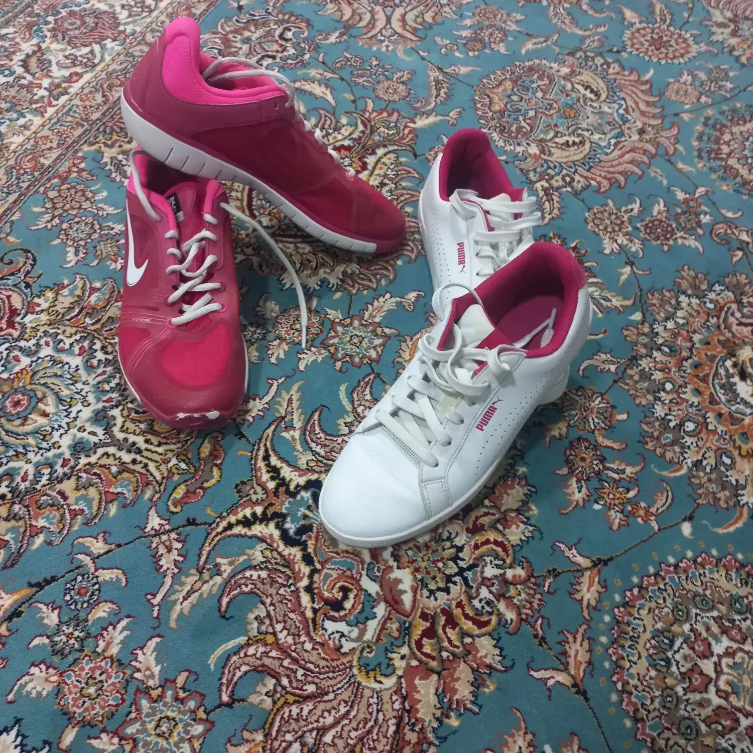 کفش/ پوما/ اصلی/نایک/ اسپورت|کیف، کفش، کمربند|سروآباد, |دیوار