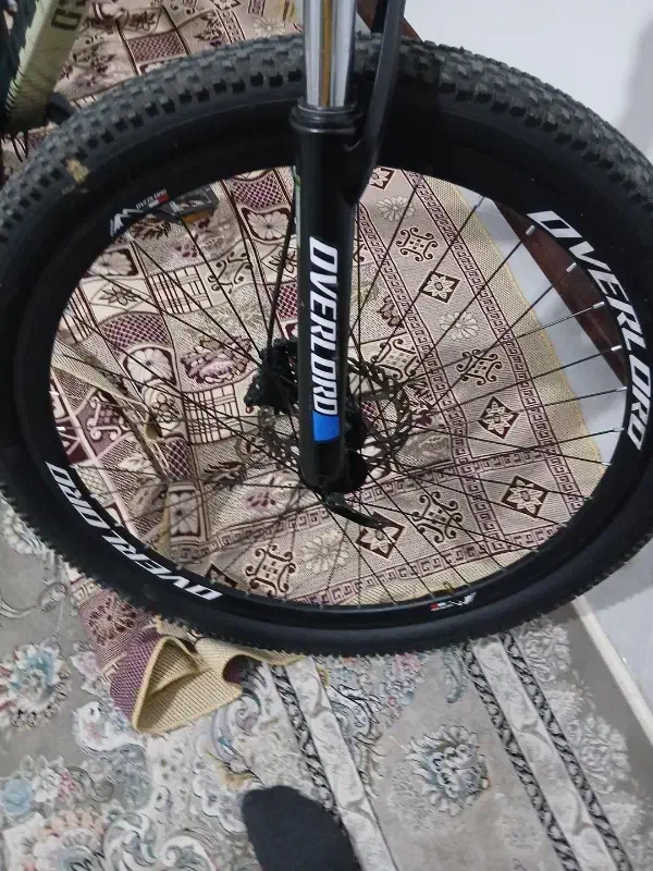 دوچرخه|دوچرخه، اسکیت، اسکوتر|ری, شهادت|دیوار