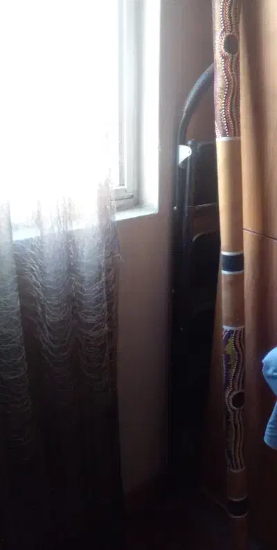 دیجریدو - ساز بومی مدیتیشین|سازهای سنتی|تهران, دربند|دیوار