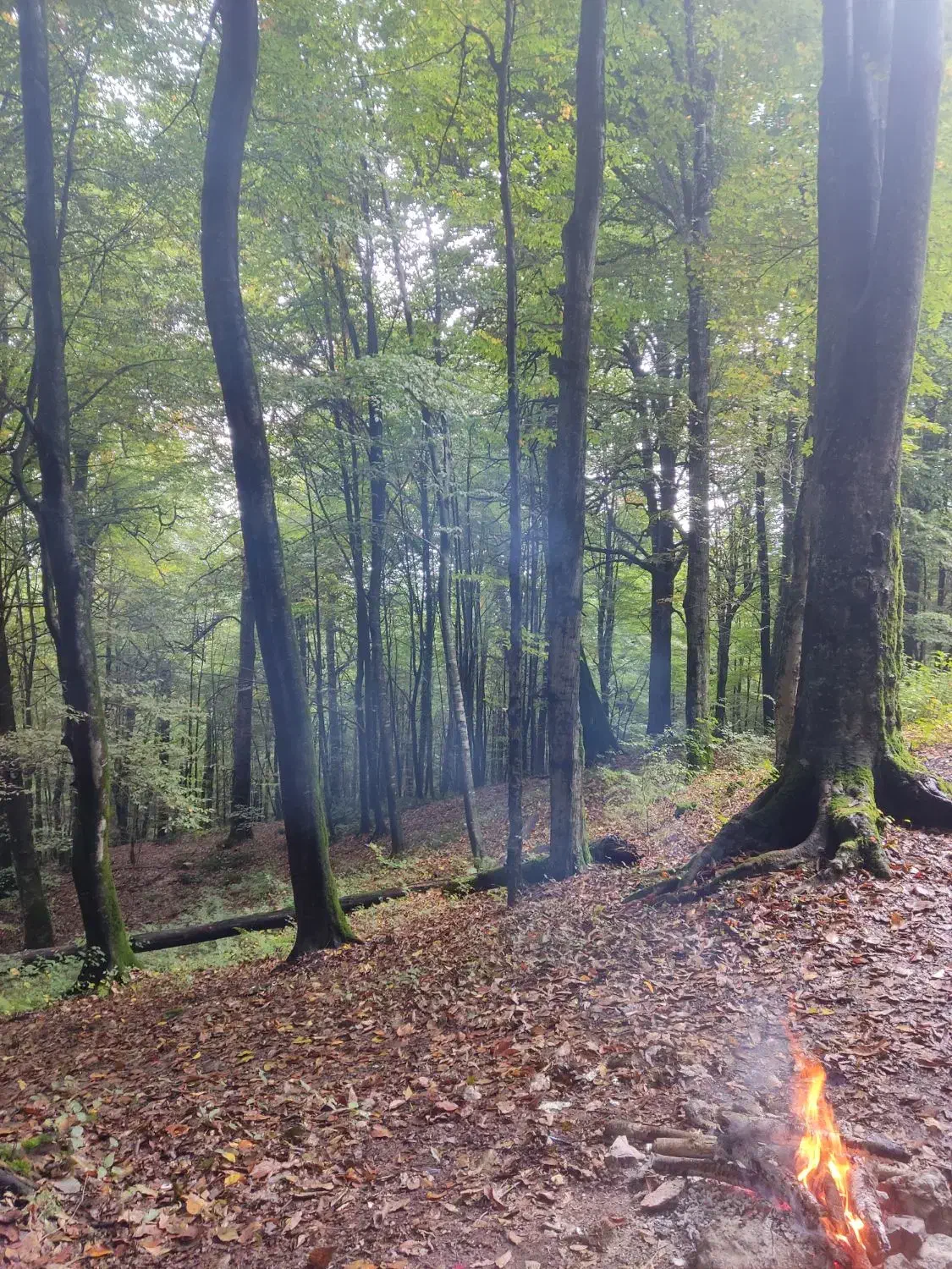 بریم دور بزنیم|فعالیت داوطلبانه تحقیقاتی|گرگان, |دیوار