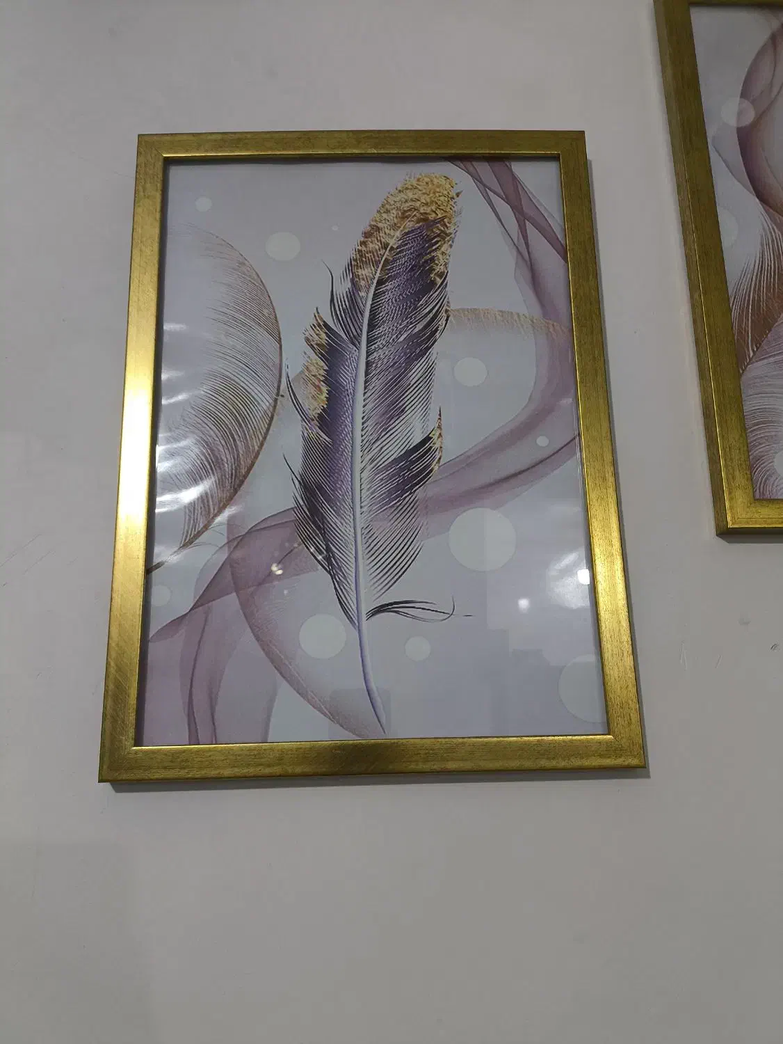 تابلو طرح پر|تابلو، نقاشی، عکس|گنبد کاووس, |دیوار