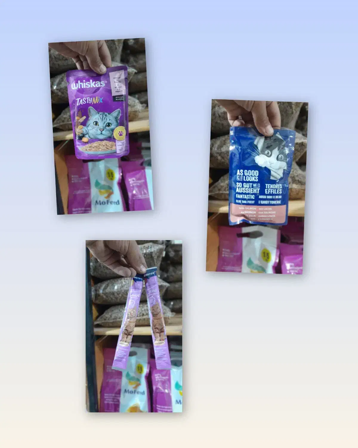 پت شاپ ماهور|لوازم جانبی حیوانات|تهران, افسریه شمالی|دیوار