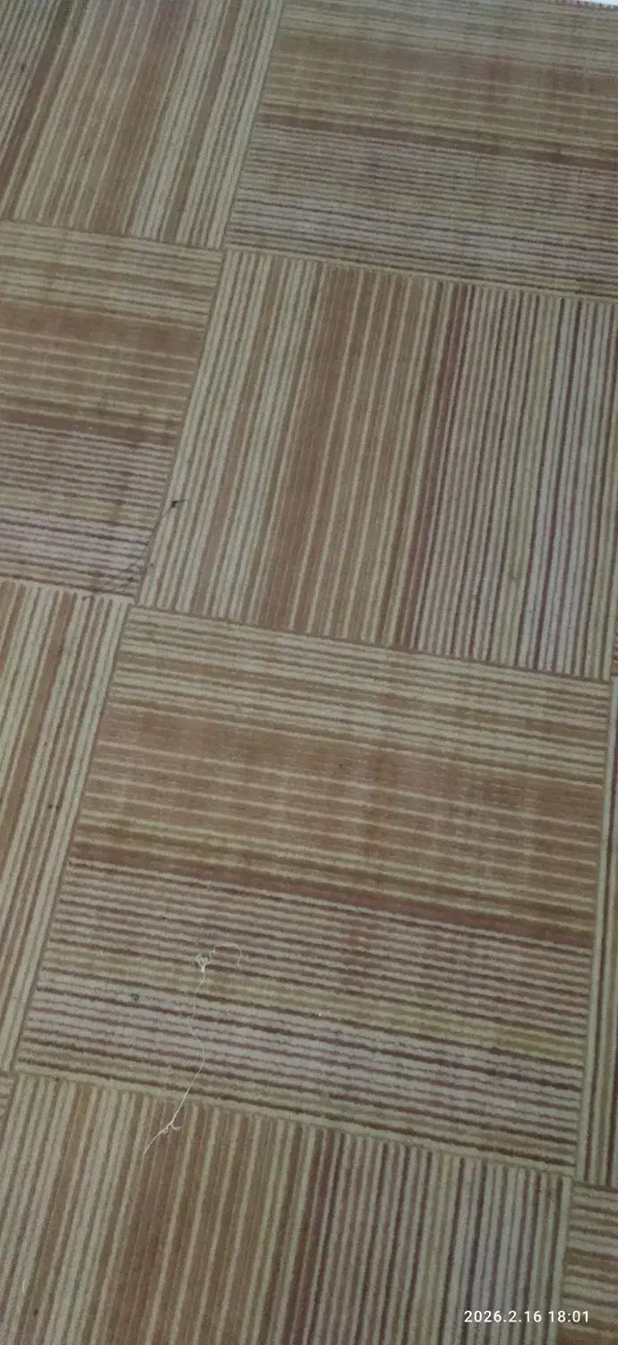 باهنر|موکت|نیشابور, ده حلاج|دیوار