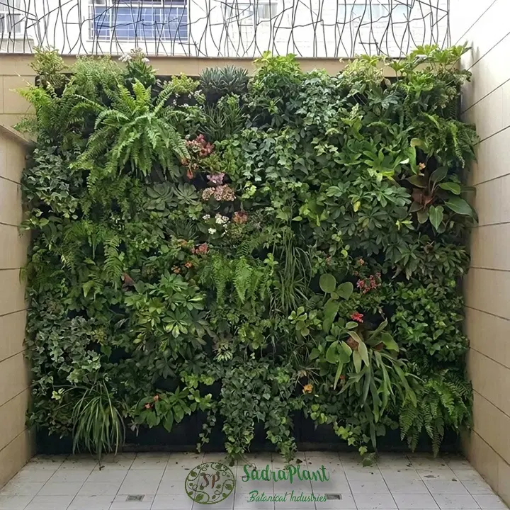 دیوار سبز و گرینوال مدل SP.FloraFelt|گل و گیاه طبیعی|تهران, جردن|دیوار