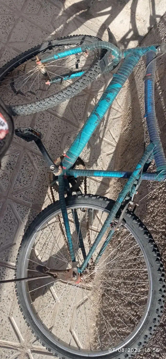 دوچرخه۲۶ساده|دوچرخه، اسکیت، اسکوتر|گزیک, |دیوار