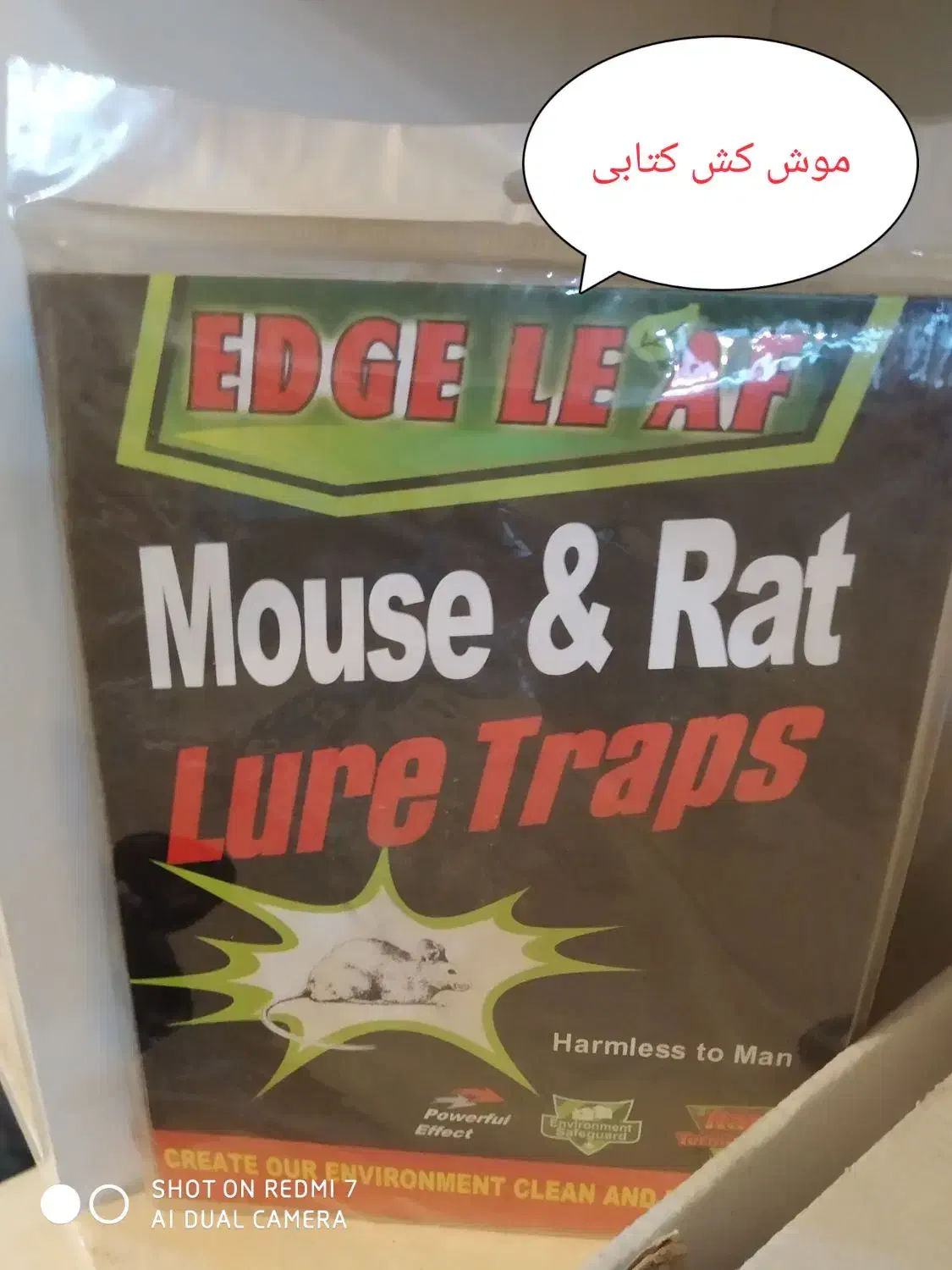 سم ضد موش کنه ساس کک سوسک مورچه موش چسب موش|مواد شوینده و دستمال کاغذی|ارومیه, |دیوار