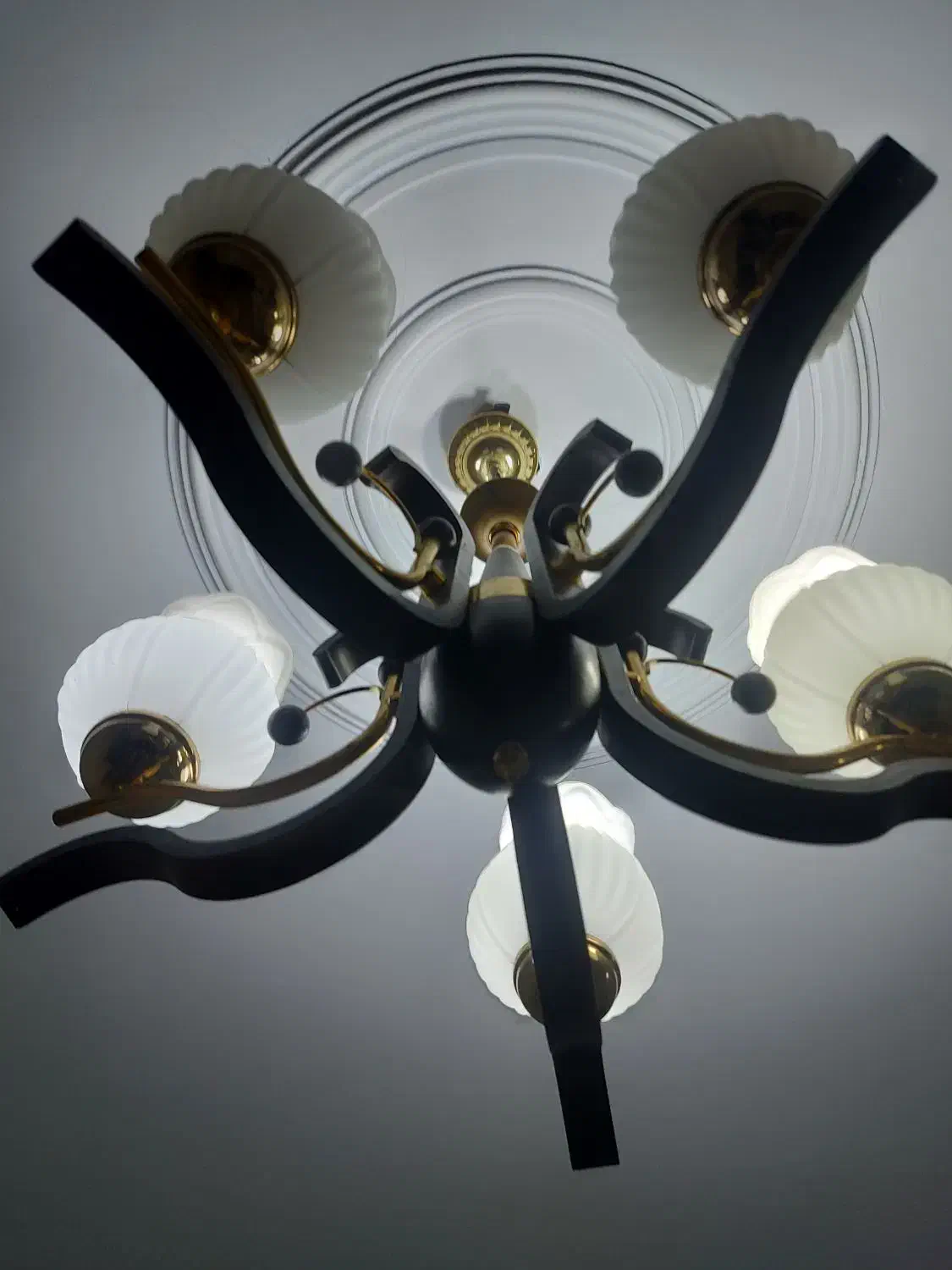 لوستر تکی و پنج شاخه|لوستر و چراغ آویز|تهران, تهرانسر شمالی|دیوار