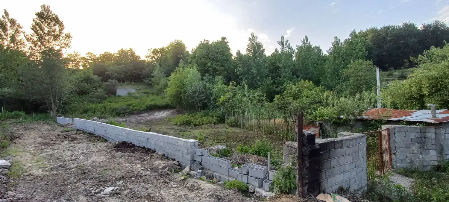 زمین ۲۵۰ متری داخل بافت مسکونی لفور پروانه در دست|فروش زمین و ملک کلنگی|آلاشت, |دیوار