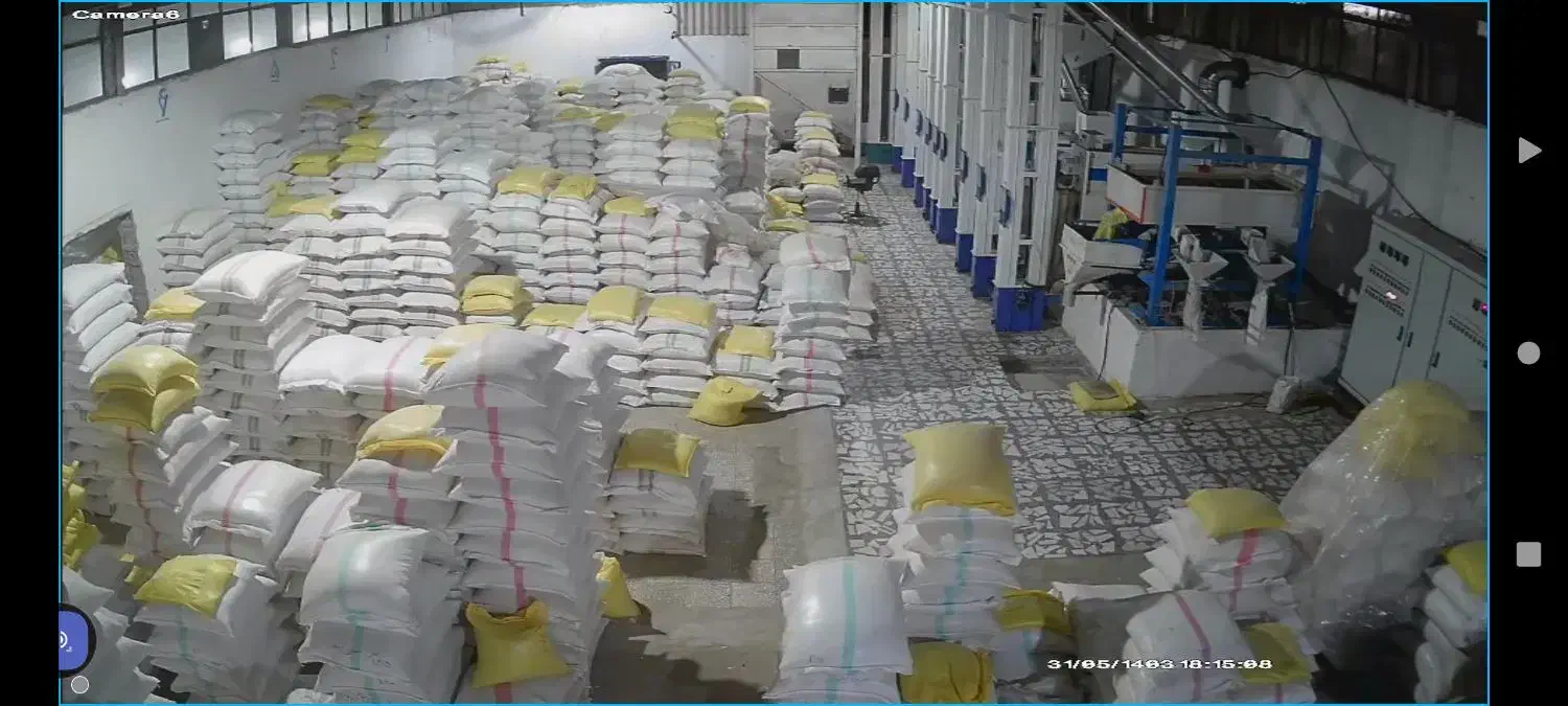 فروش عمده و خرده انواع برنج ایرانی از شالیکوبی|خوردنی و آشامیدنی|بابکان, |دیوار