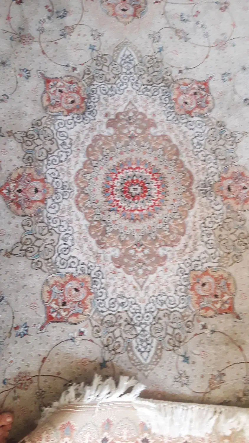 فرش 15متری|فرش|شهریار, شهریار|دیوار